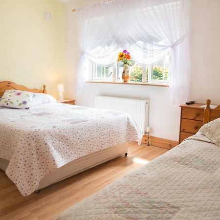 קילאלו Shannon Breeze B&B מראה חיצוני תמונה