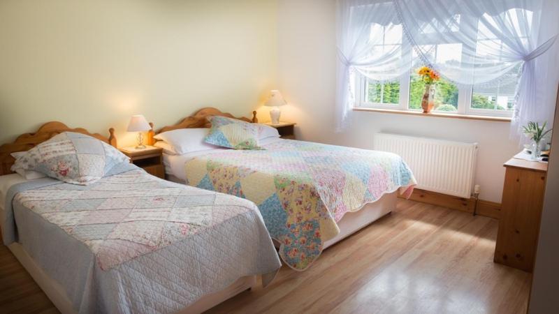 קילאלו Shannon Breeze B&B מראה חיצוני תמונה