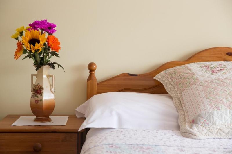 קילאלו Shannon Breeze B&B מראה חיצוני תמונה
