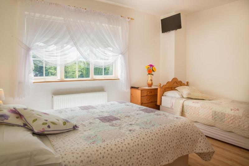 קילאלו Shannon Breeze B&B מראה חיצוני תמונה